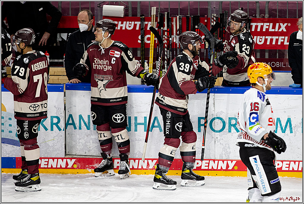 PENNY DEL;  Koelner Haie - Fischtown Pinguins Bremerhaven; Koeln, 12.02.2021